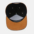 The Contrast Snapback