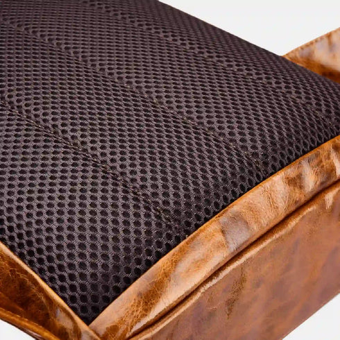 The Urban Backpack
